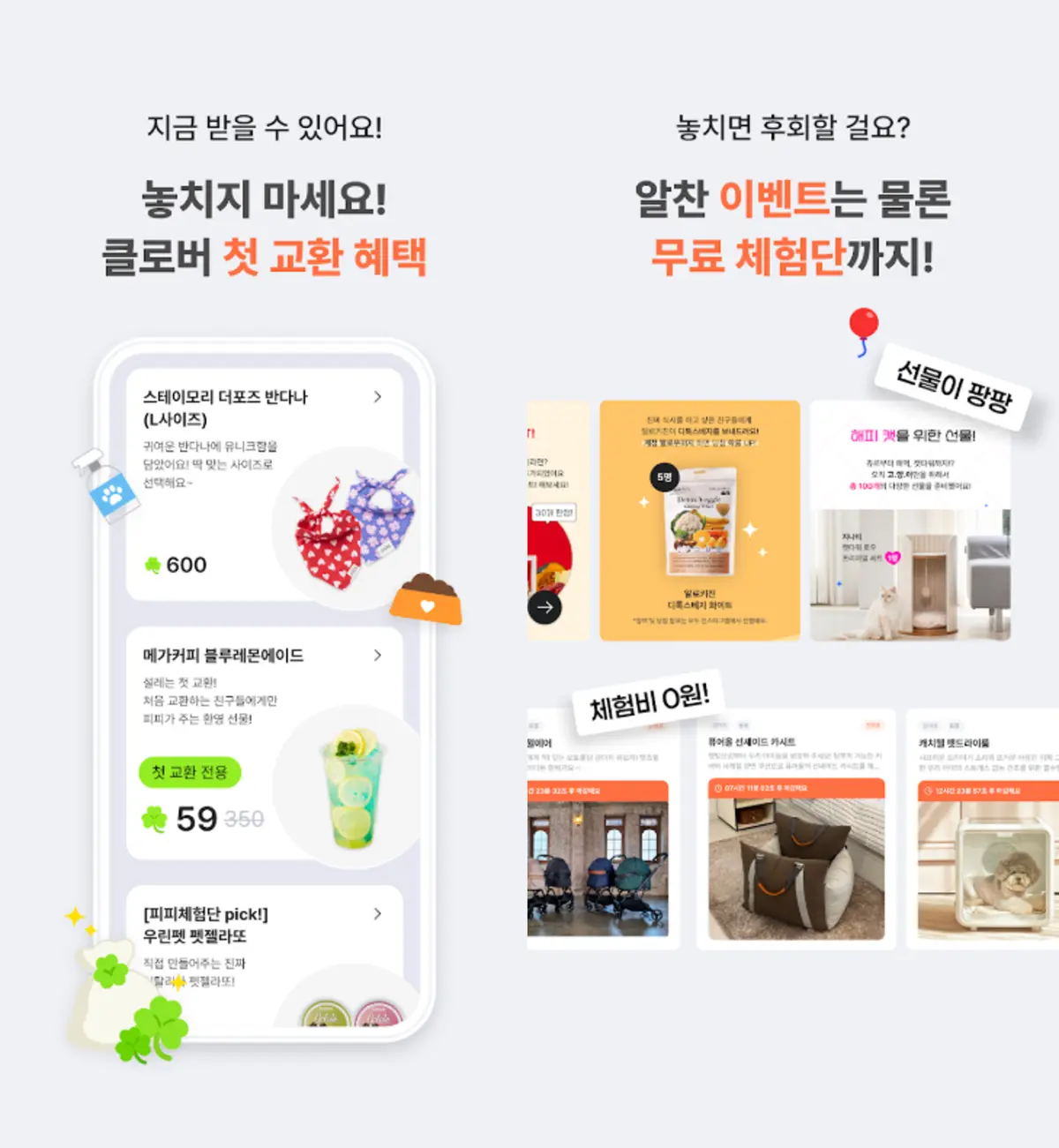 이미지 6