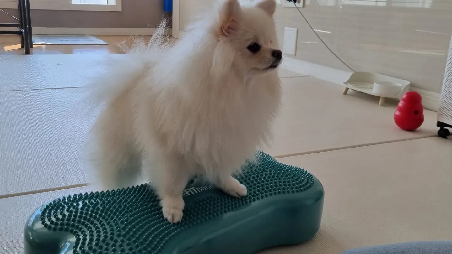 이미지 4