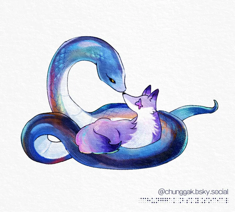 포트폴리오 이미지