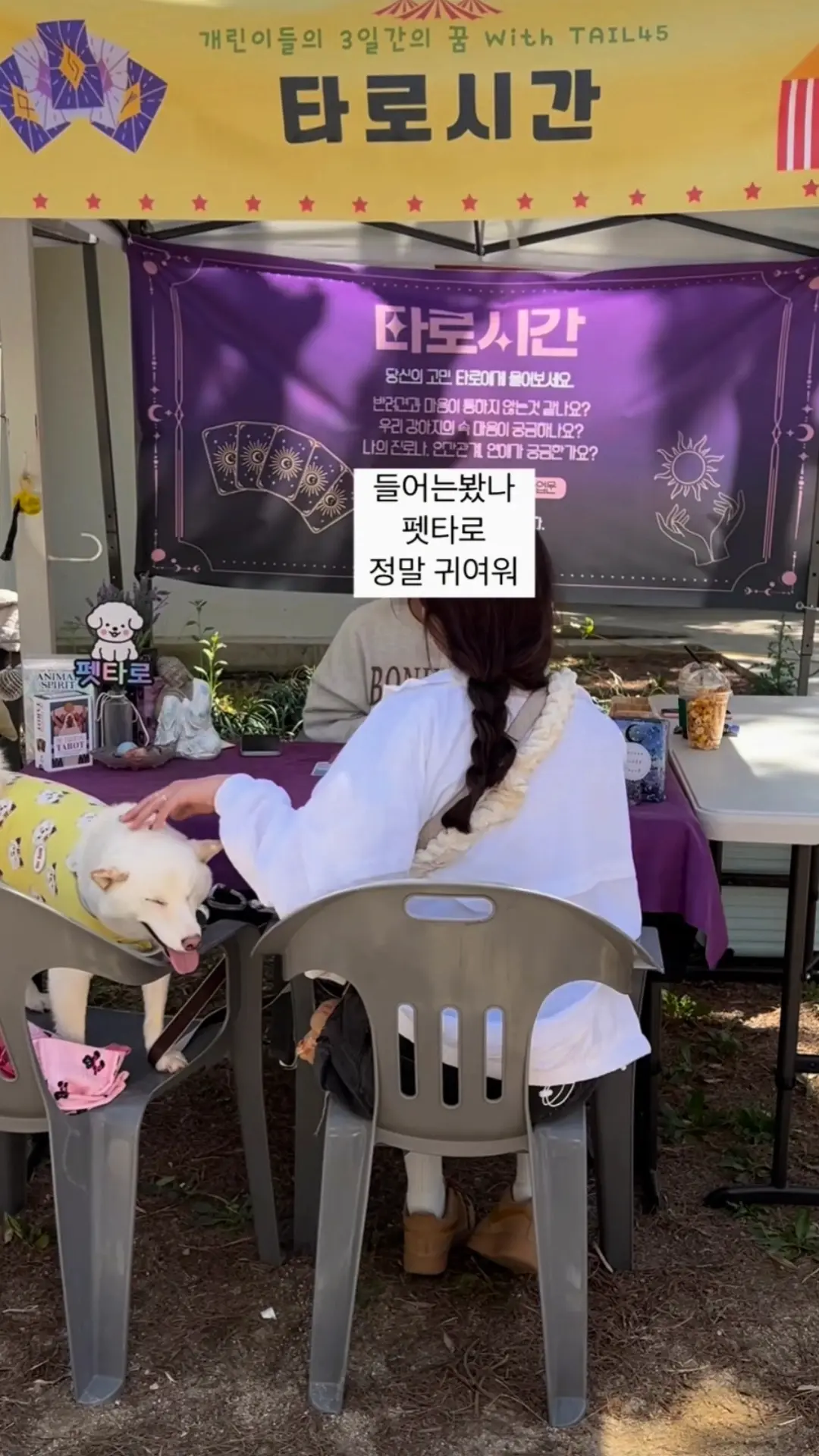 이미지 7