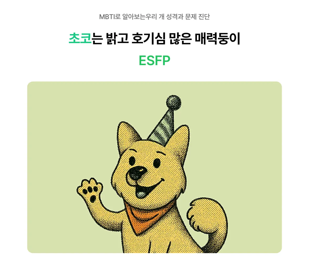 이미지 4