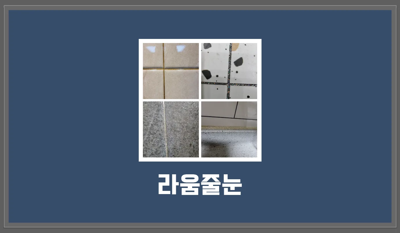 포트폴리오 이미지