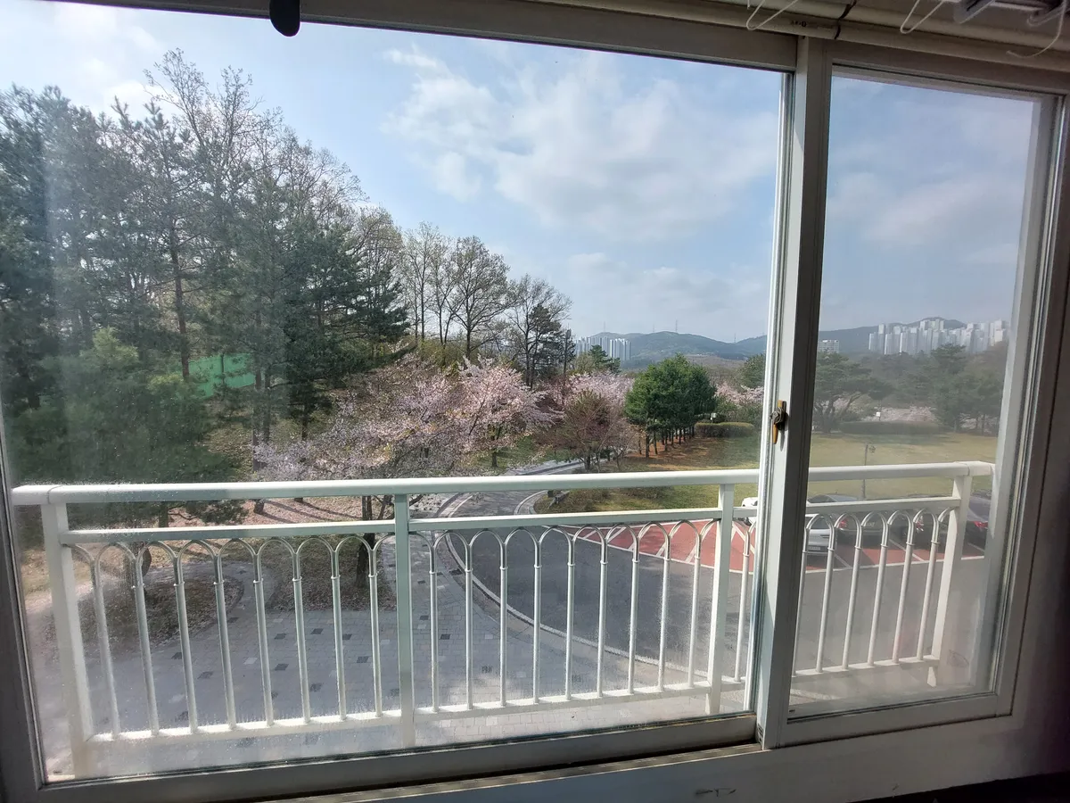 이미지 10