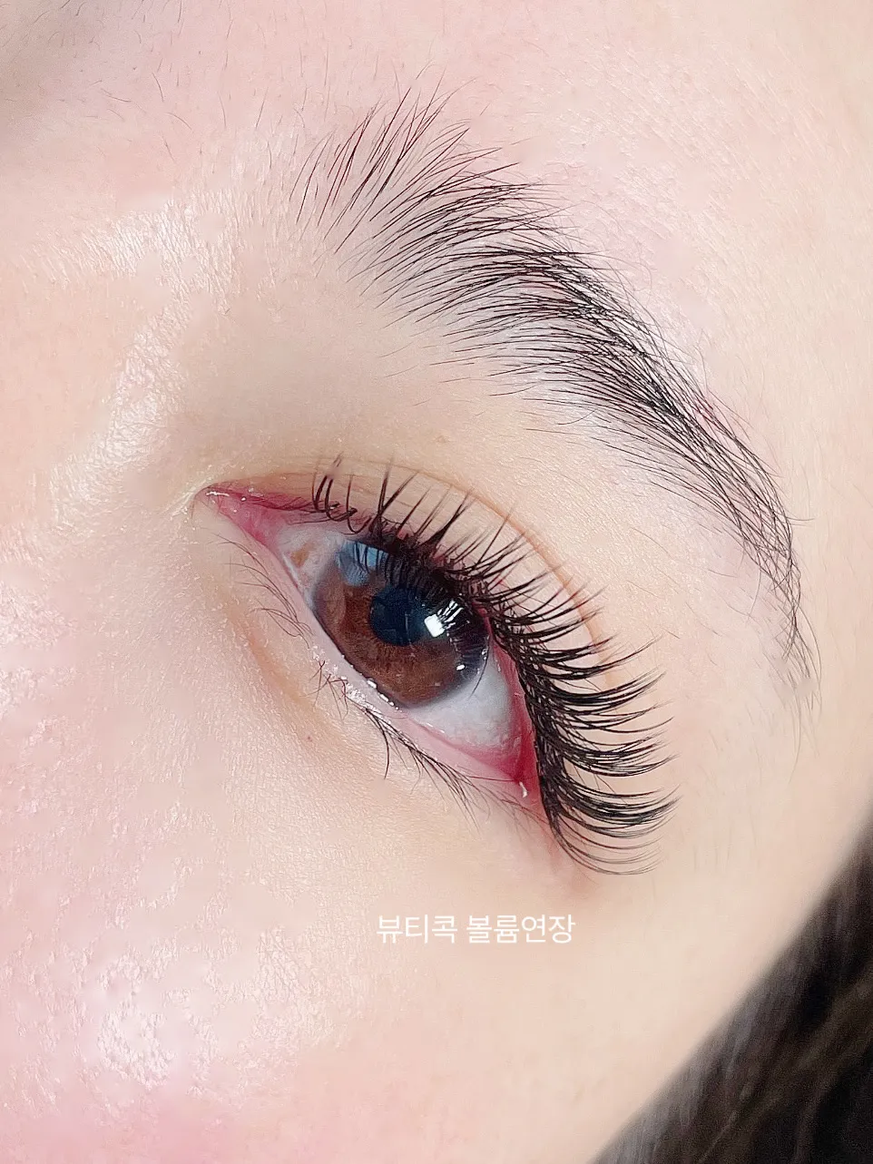 이미지 7
