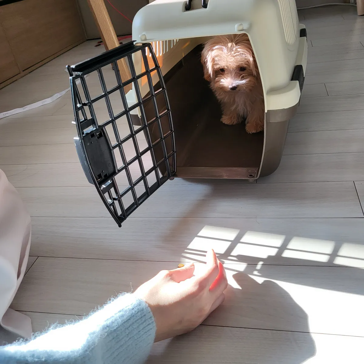 이미지 7
