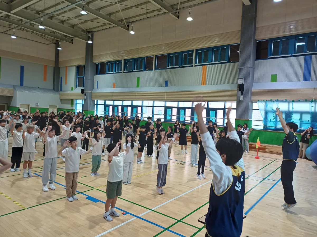 이미지 4
