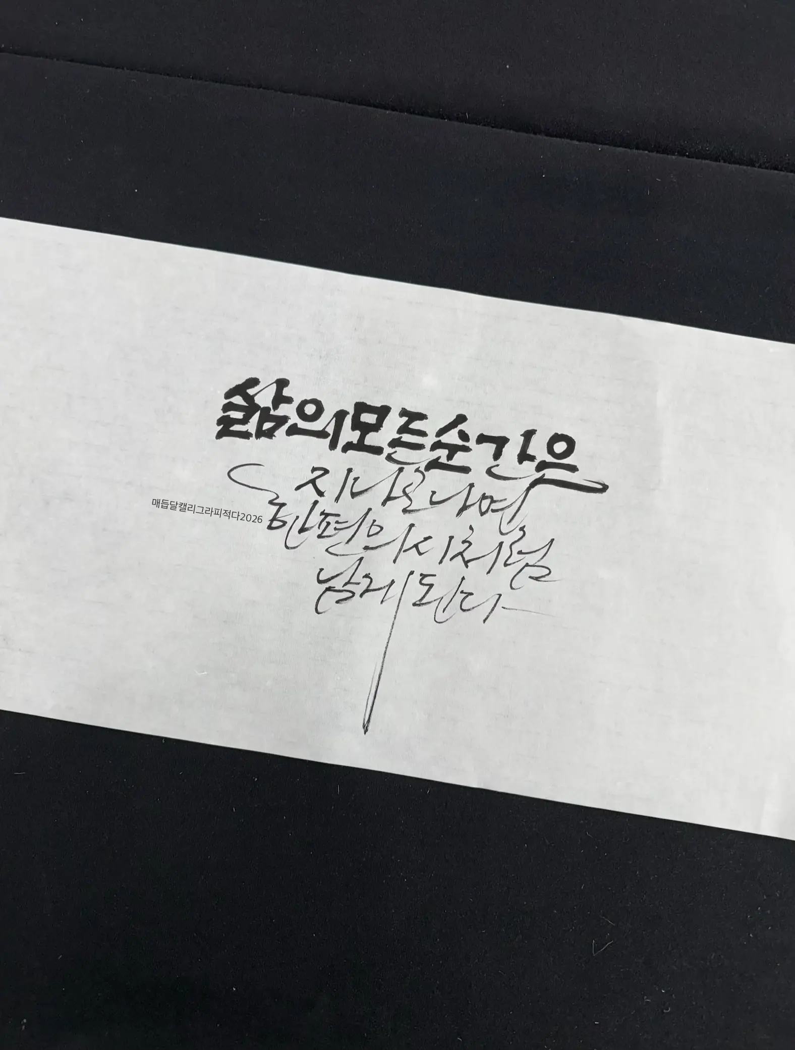 이미지 24