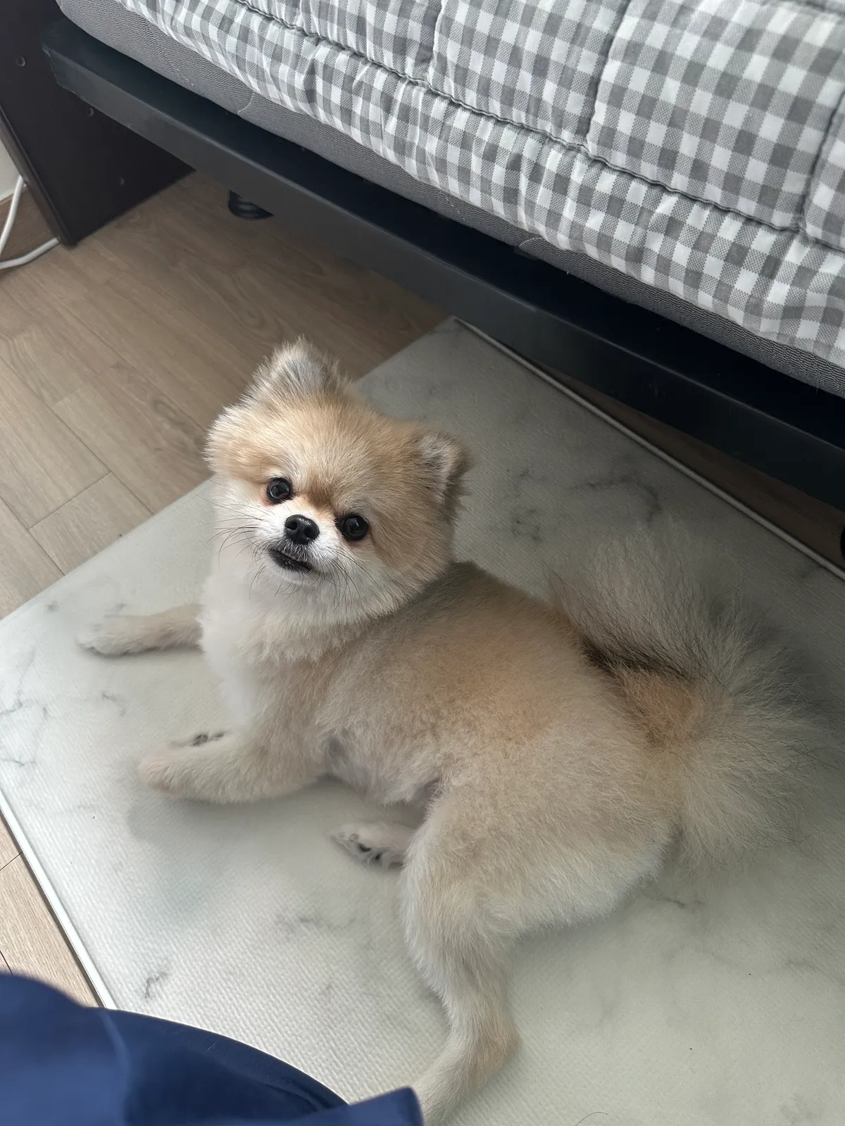 이미지 8