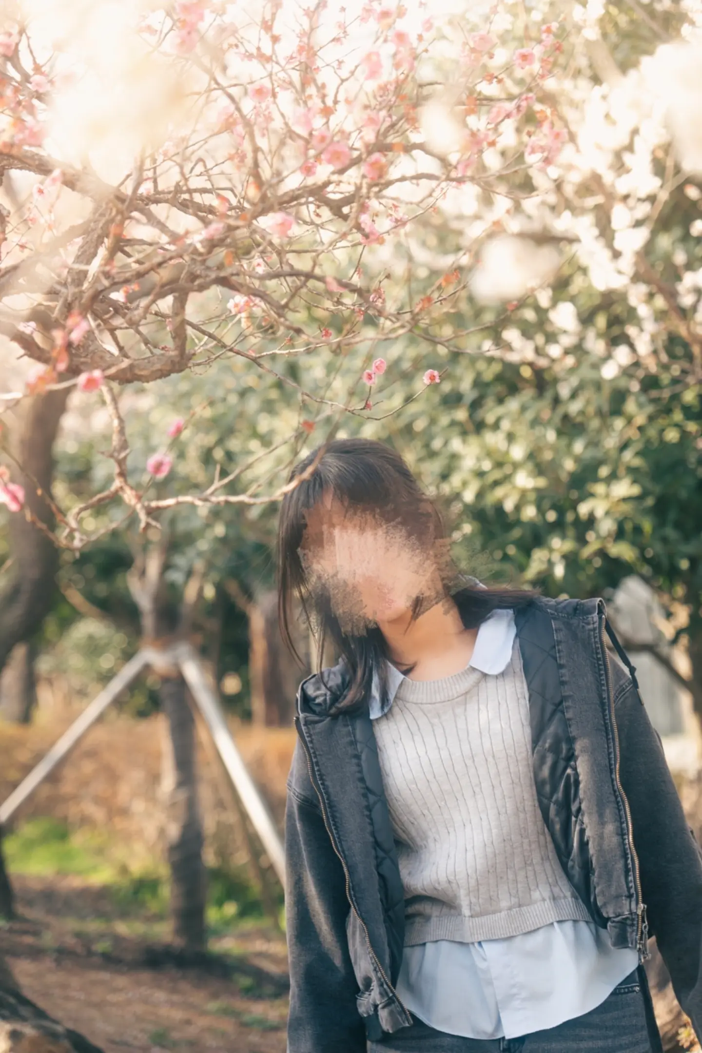 이미지 6
