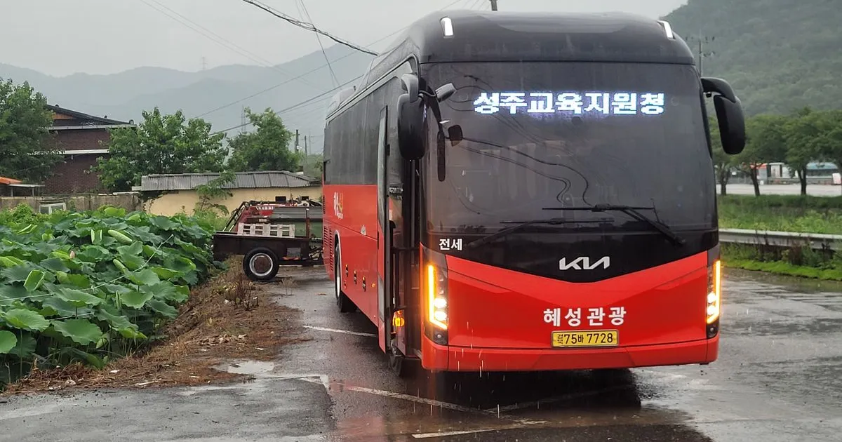 견학 / 혜성관광 - 숨고, 숨은고수 견학