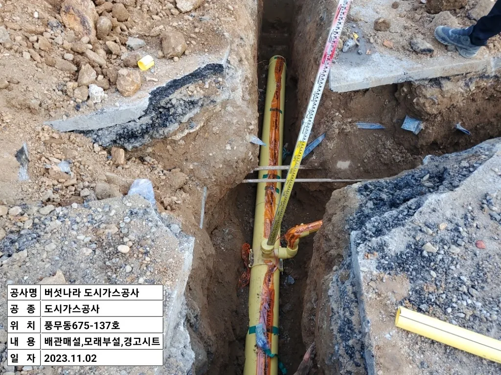 이미지 6