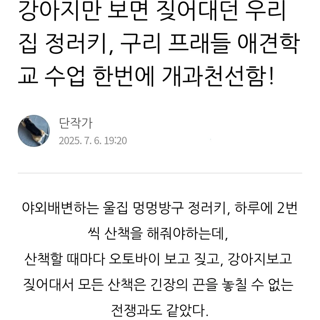 이미지 3