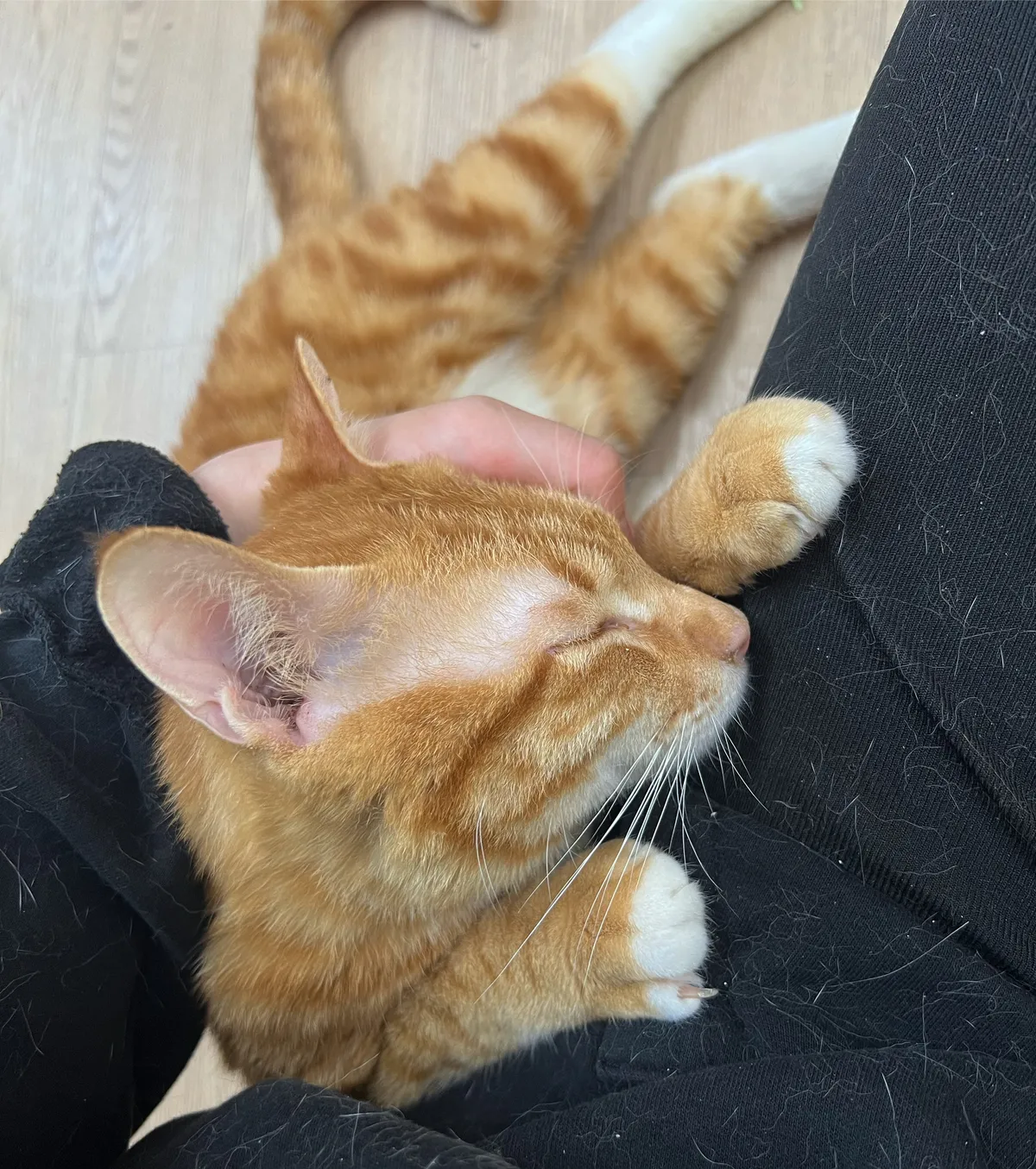 이미지 7
