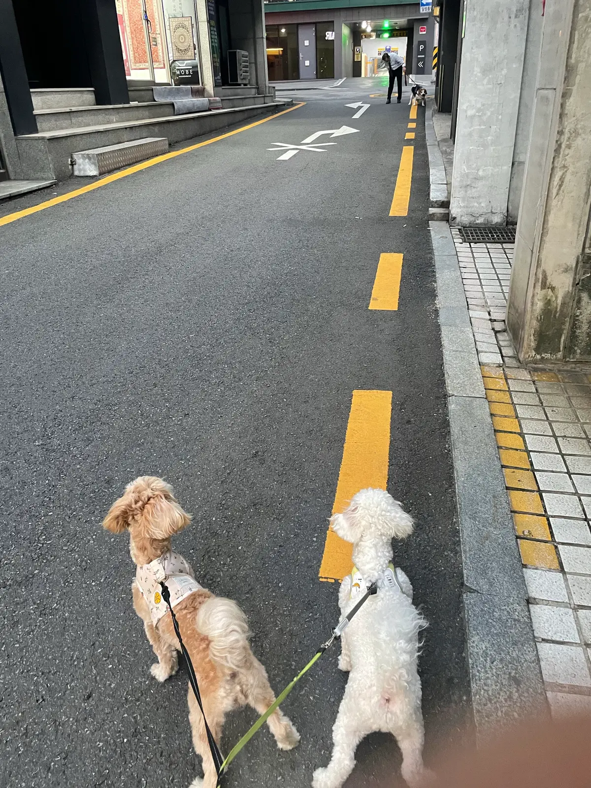 이미지 5