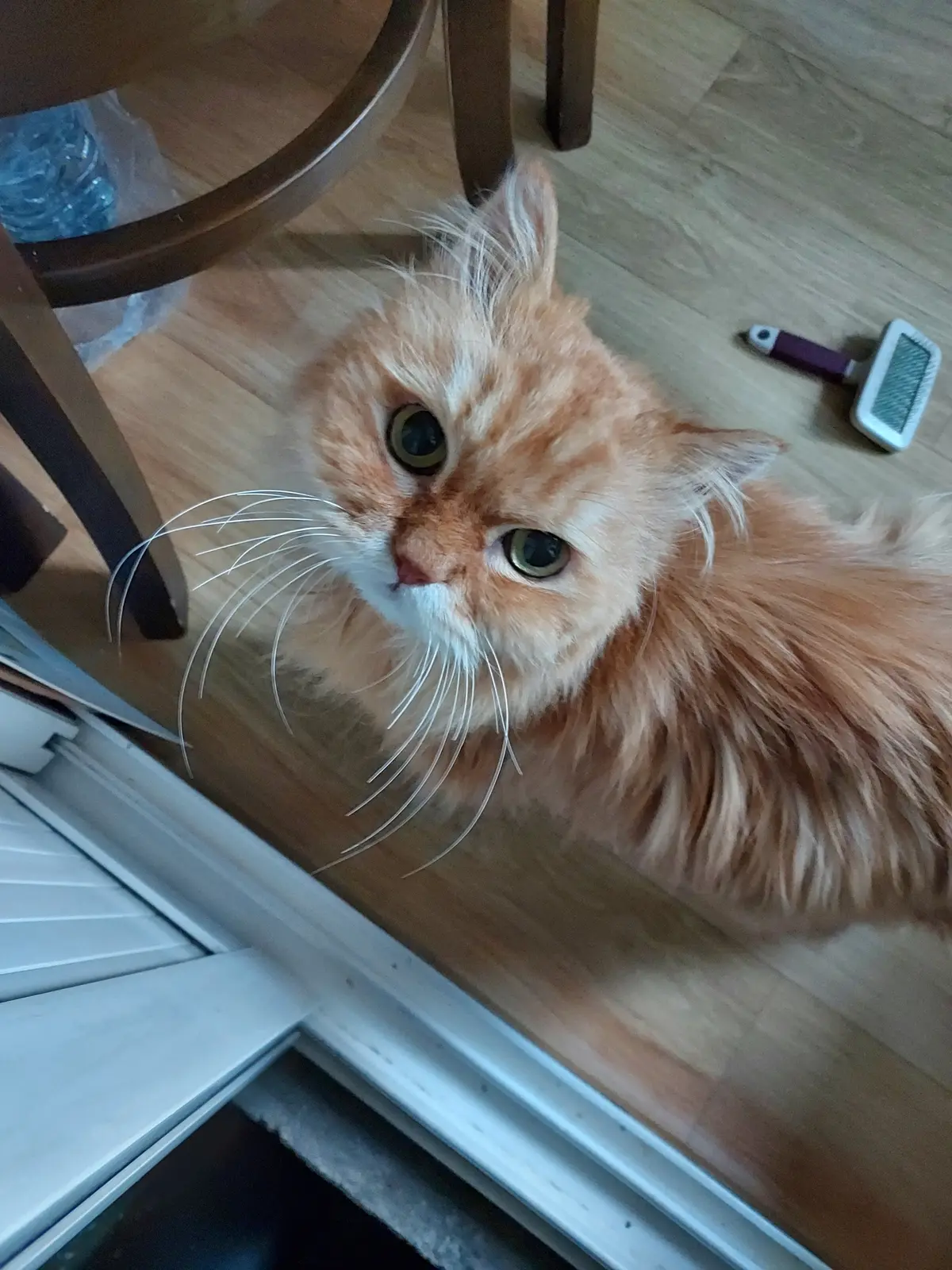 이미지 7