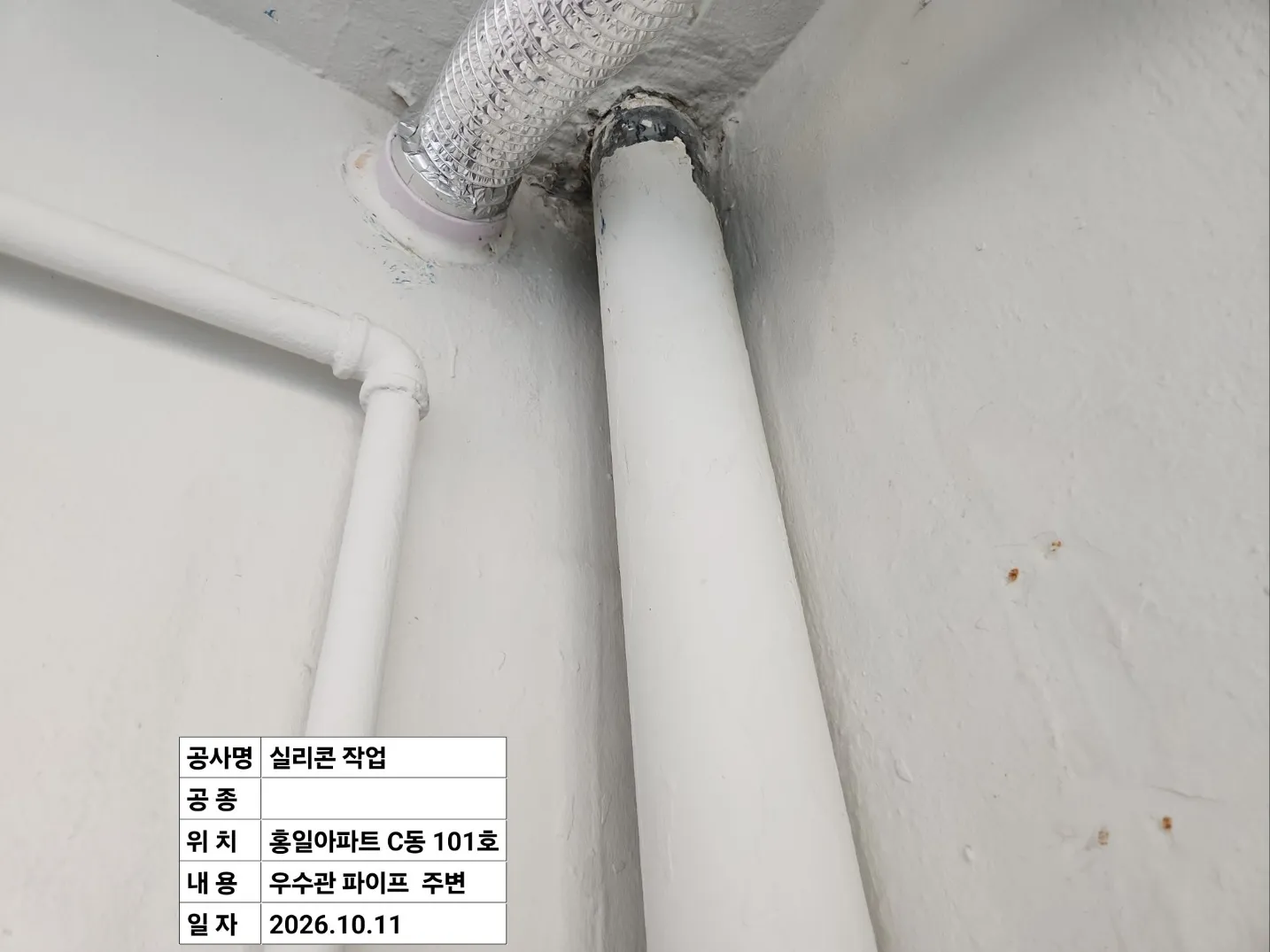 이미지 5