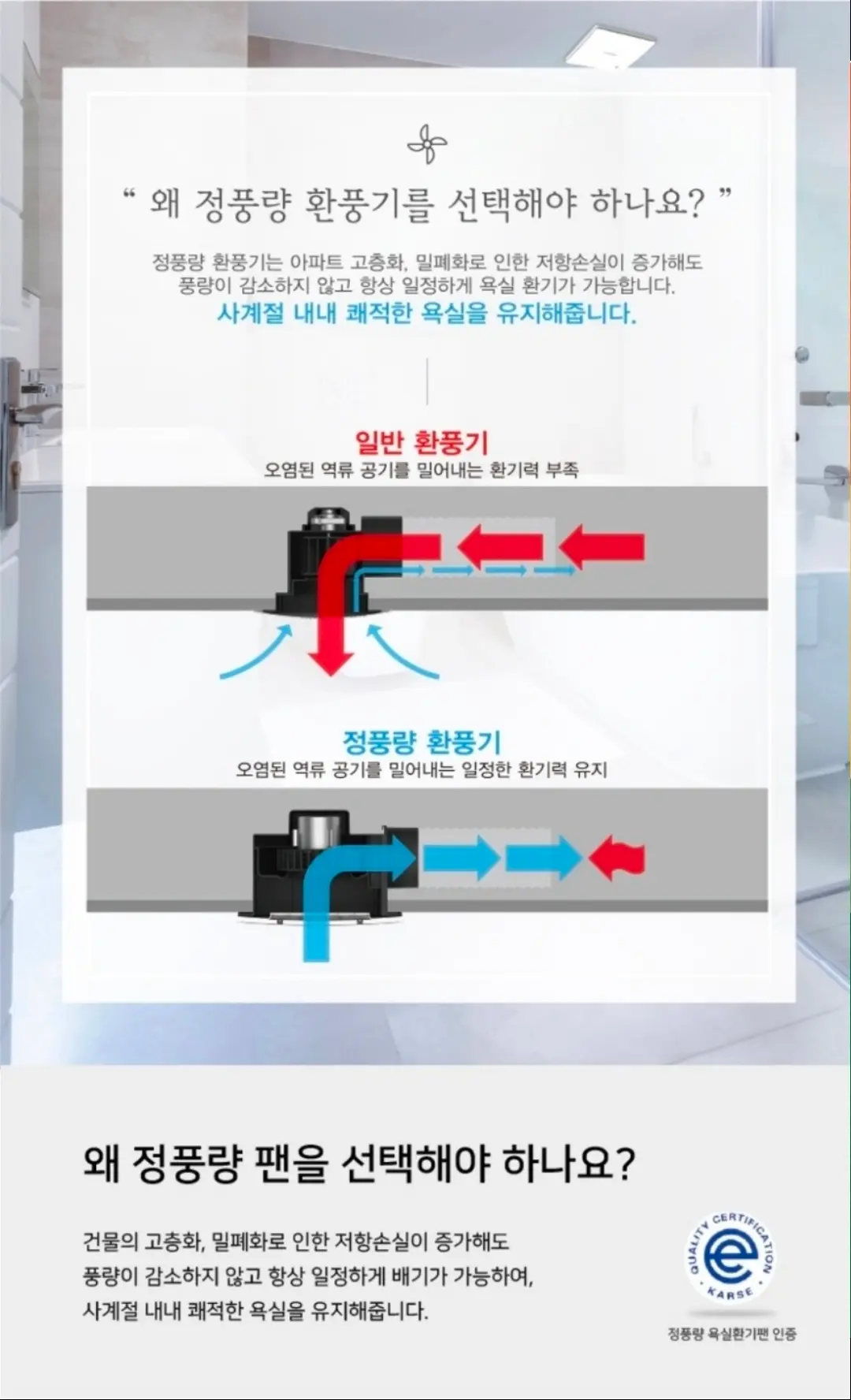이미지 10