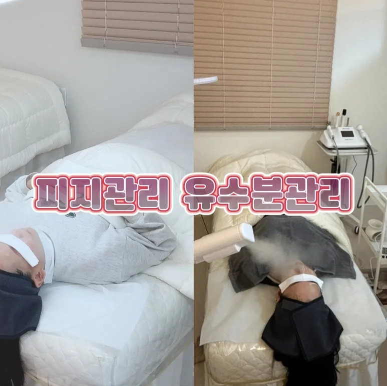 이미지 5