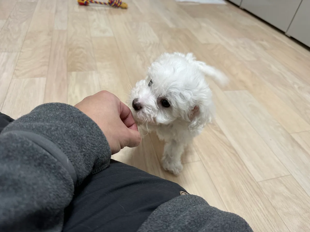 이미지 8