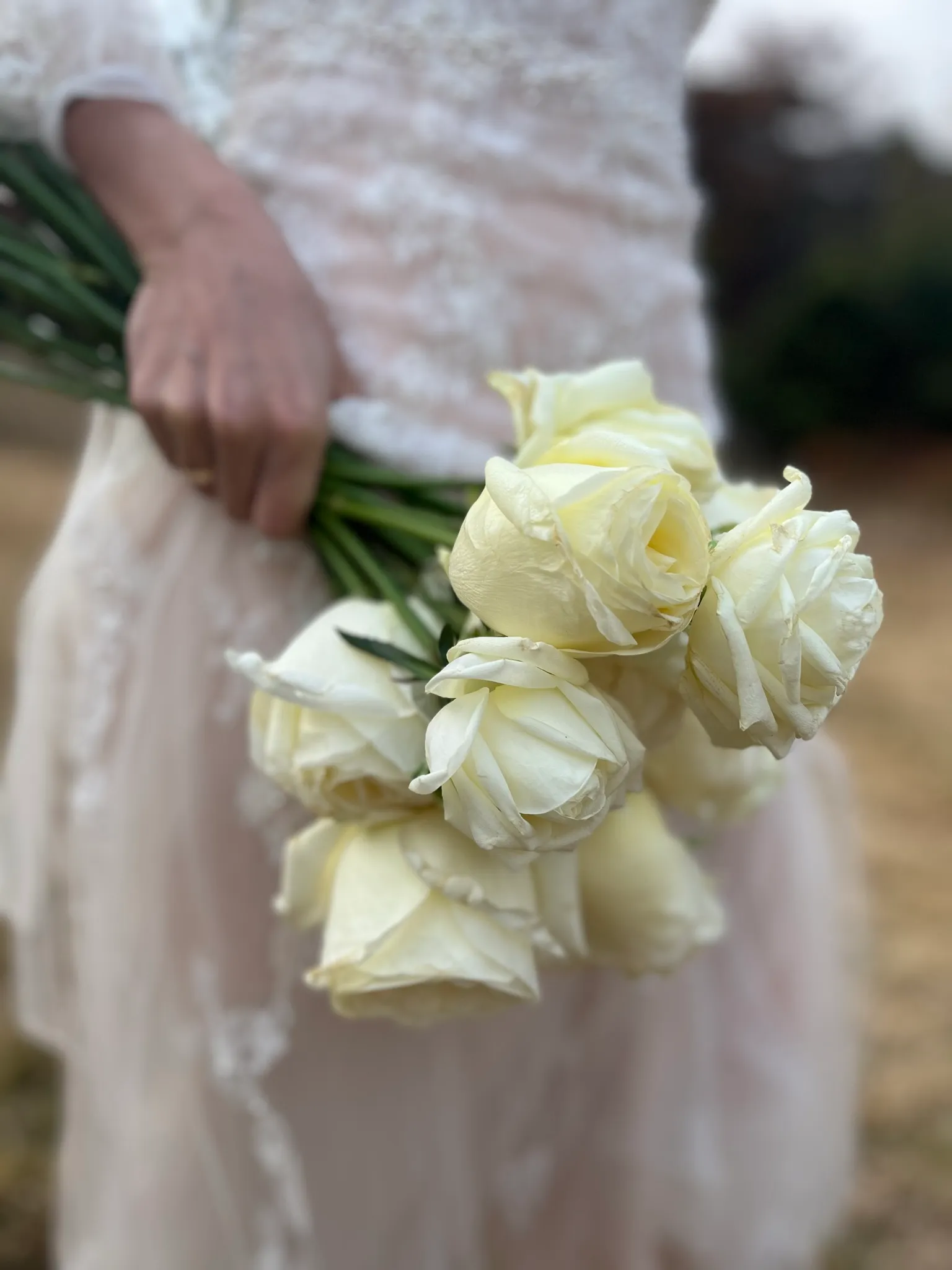 이미지 4