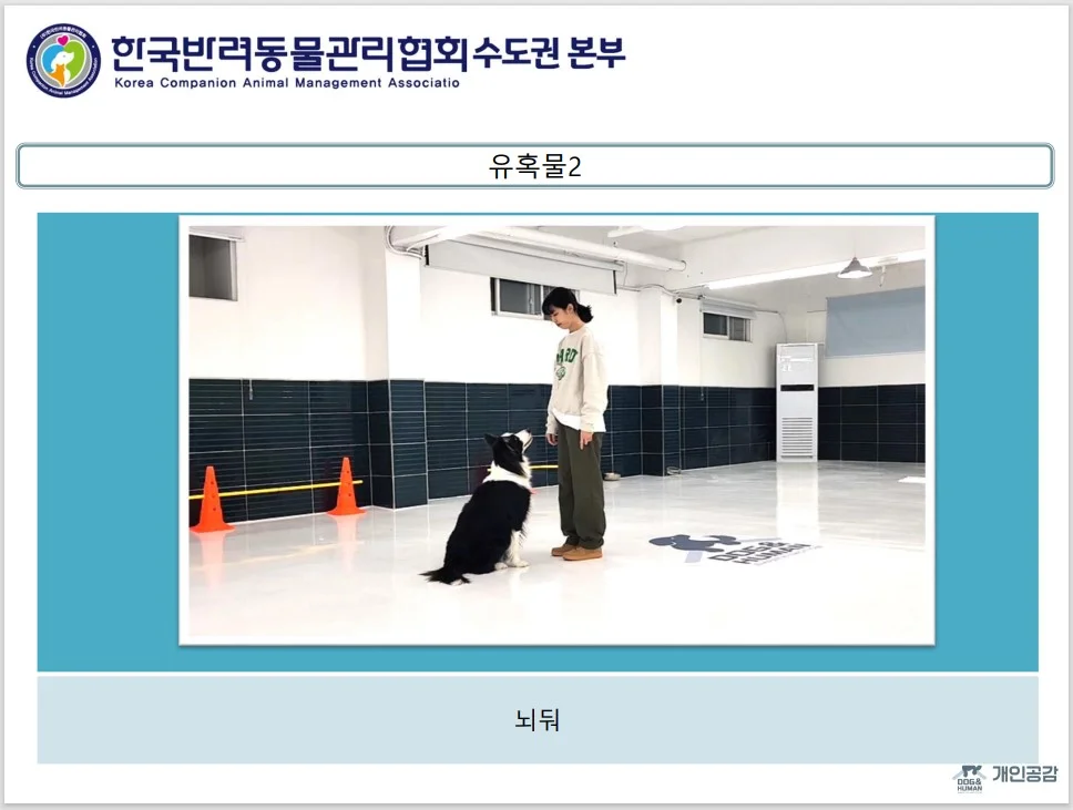 이미지 8