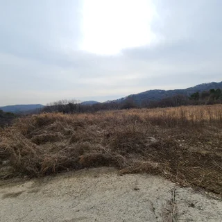 법인 재무제표 반영 목적 감정평가