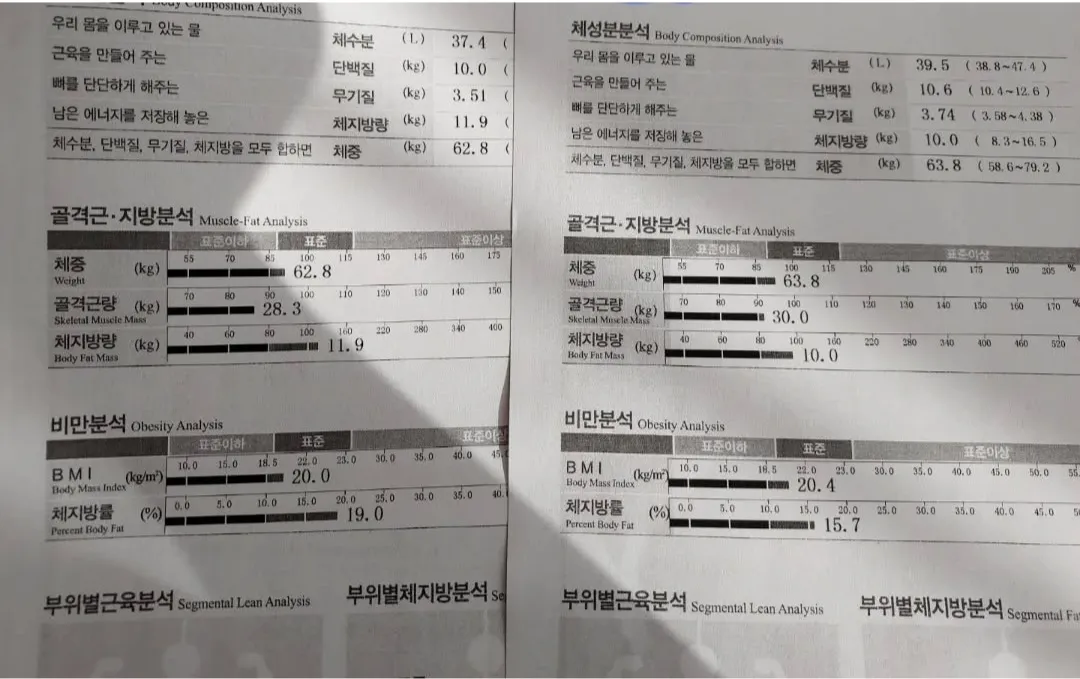 이미지 12