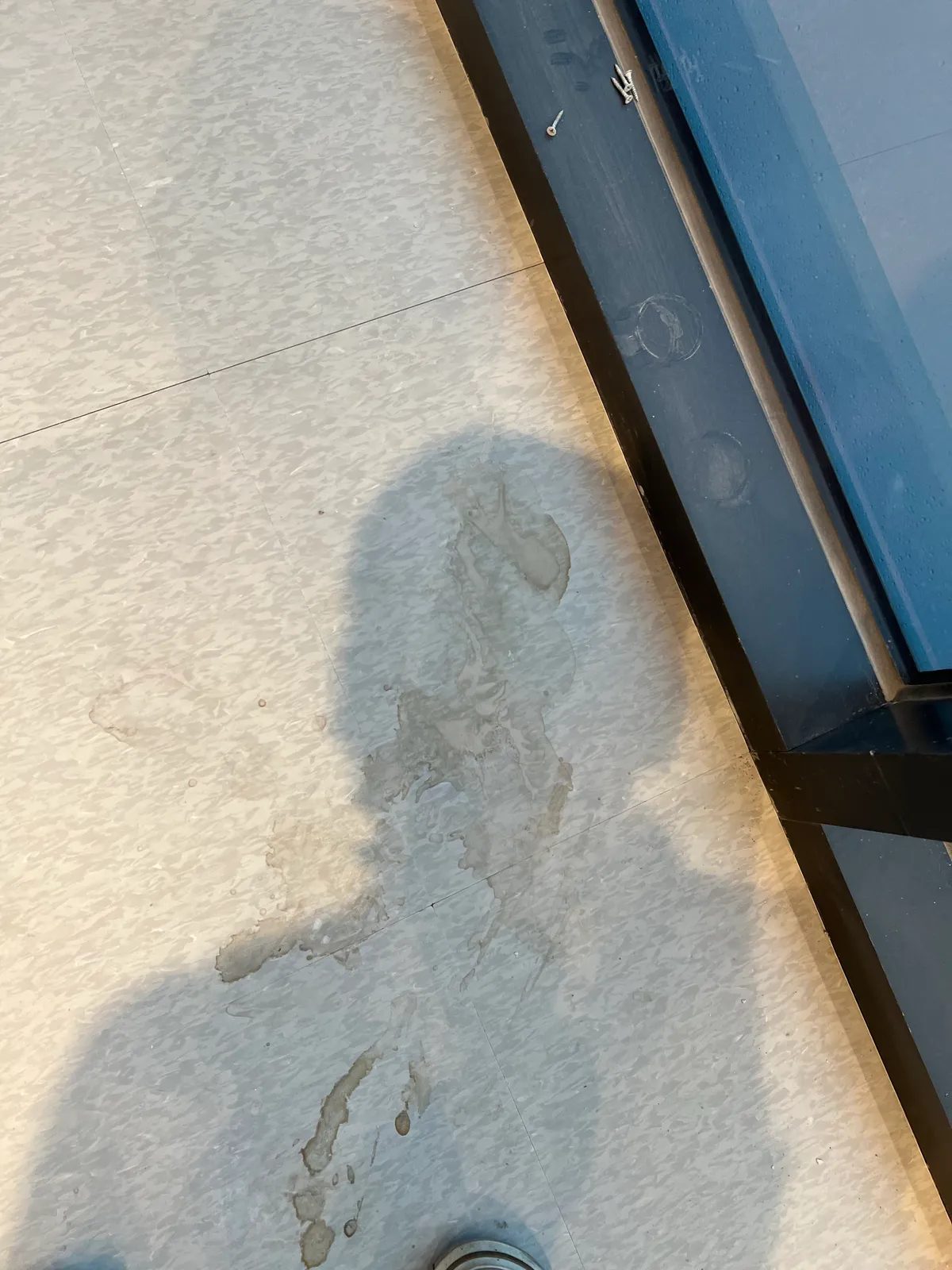 이미지 3