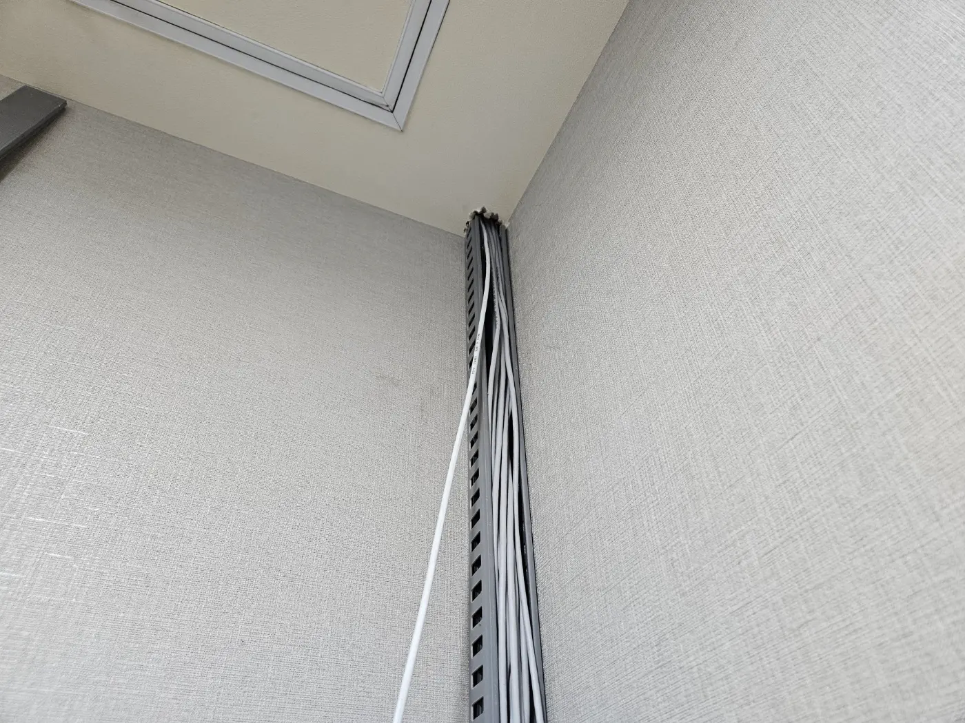 이미지 8