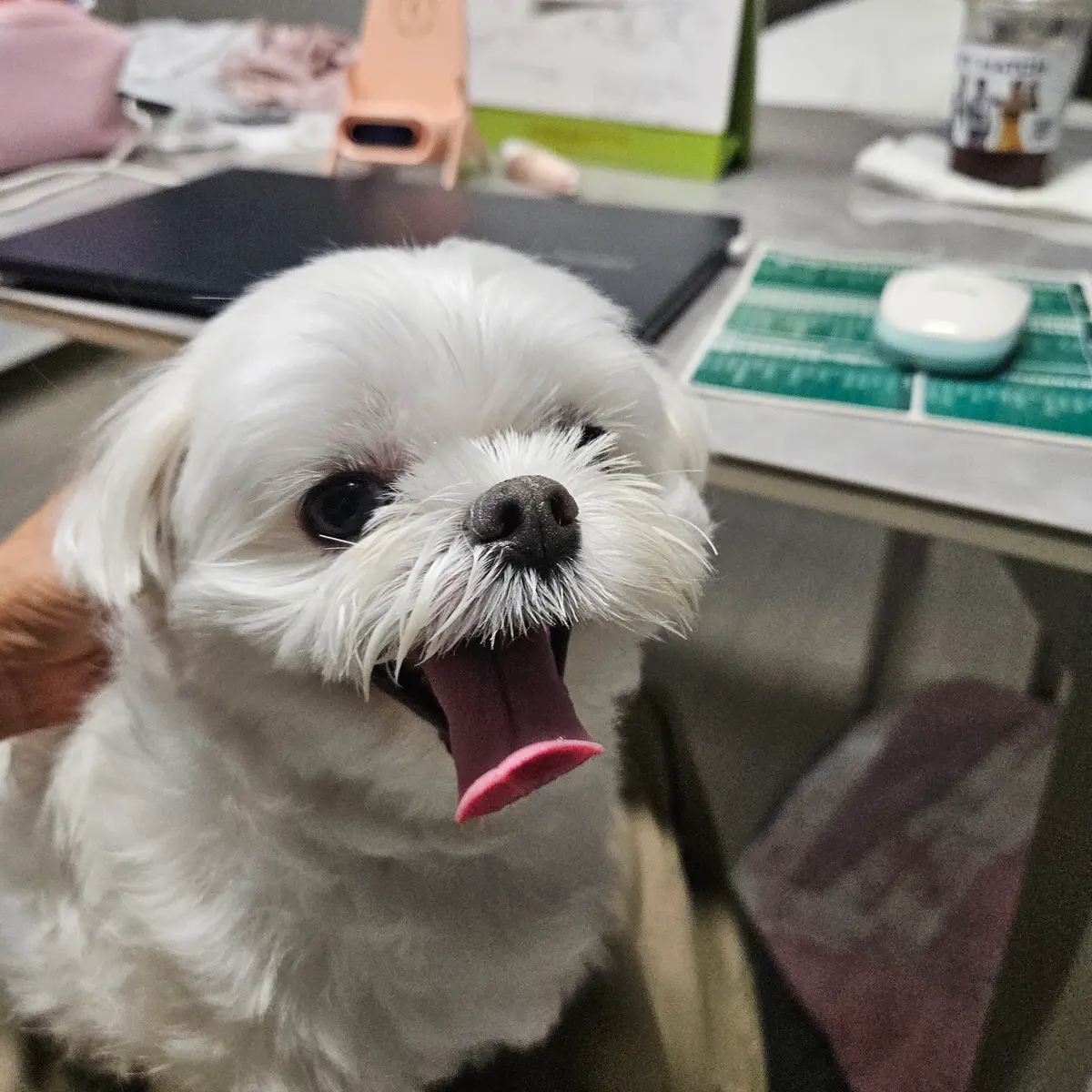 이미지 5