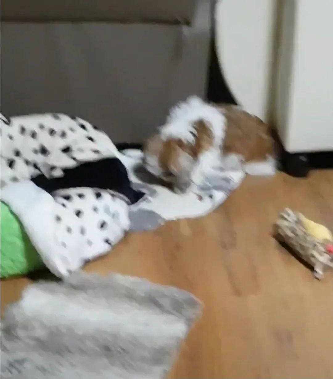 이미지 4