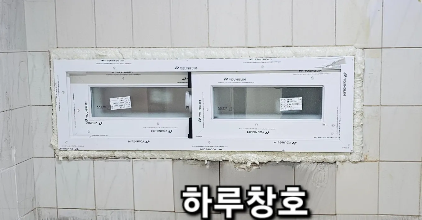 이미지 7
