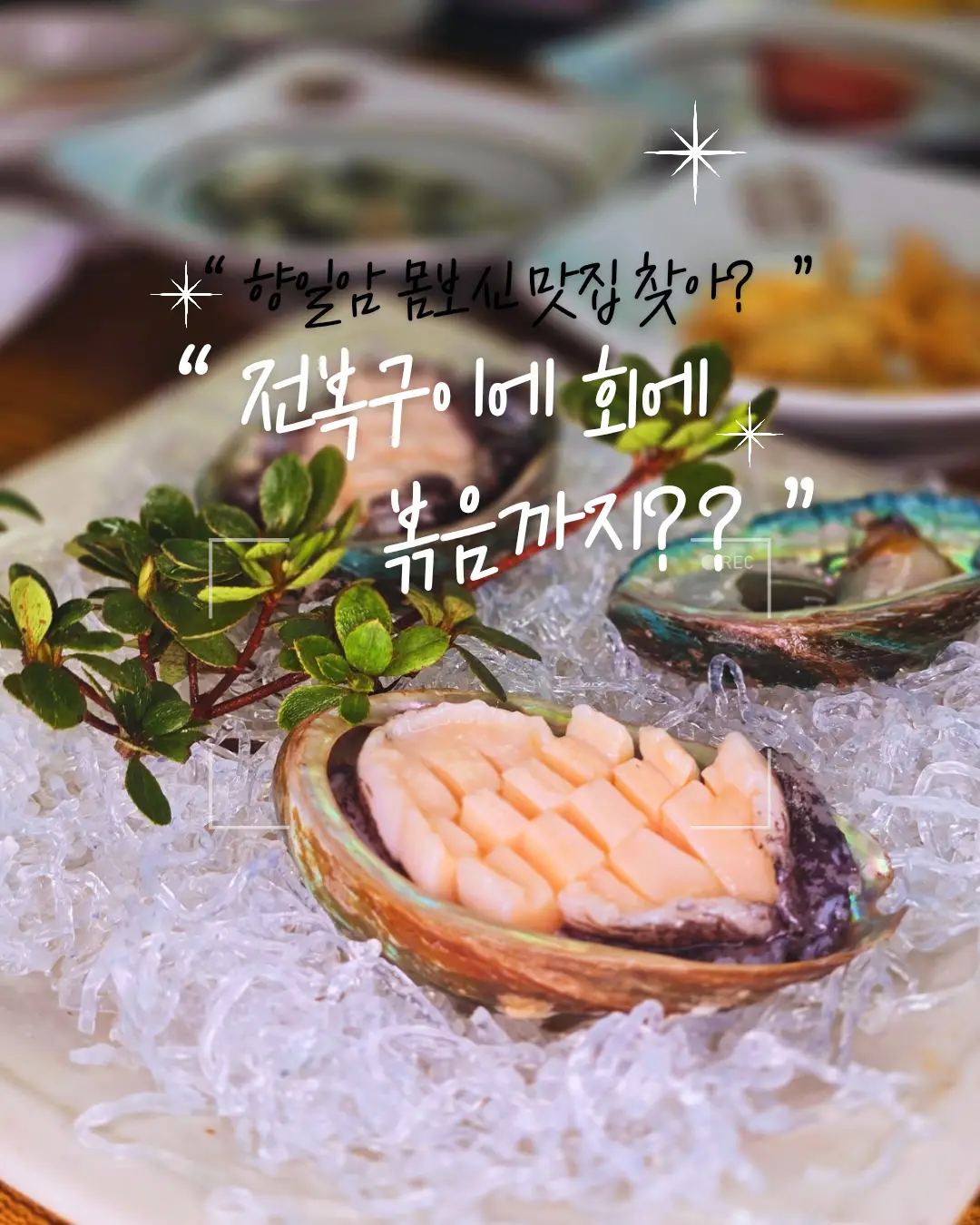 이미지 26