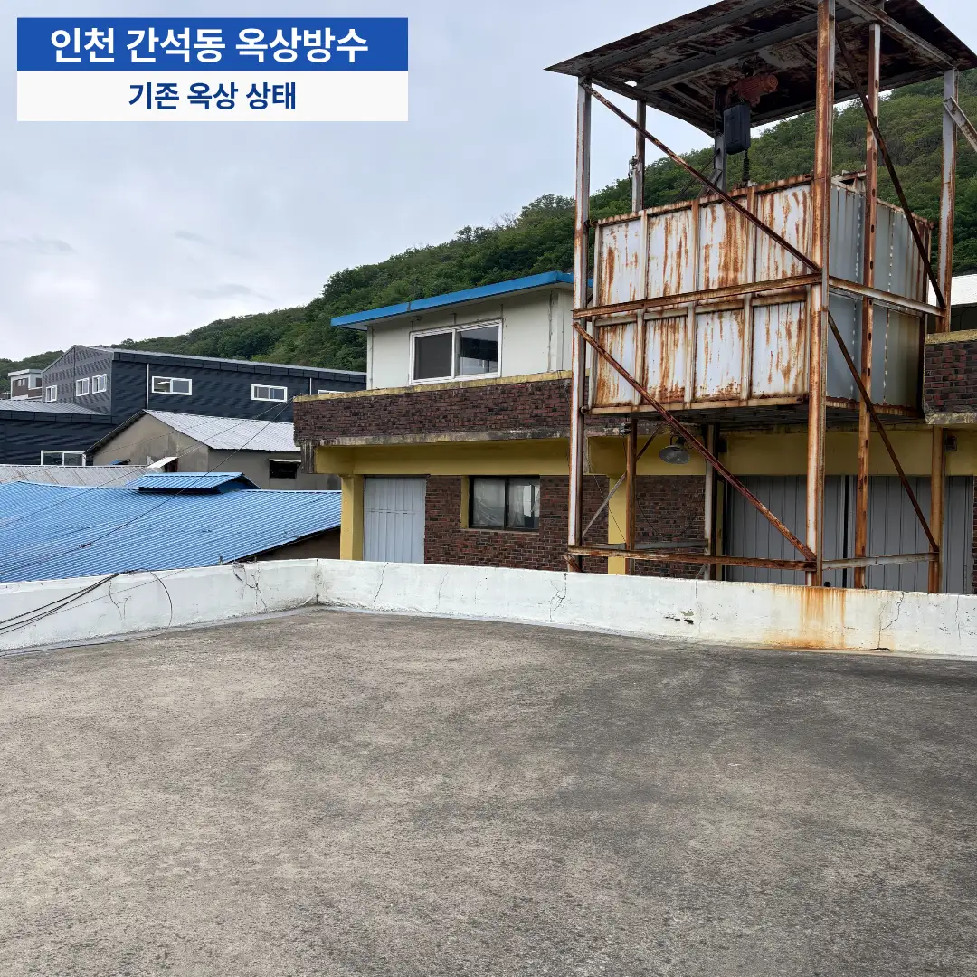 이미지 4