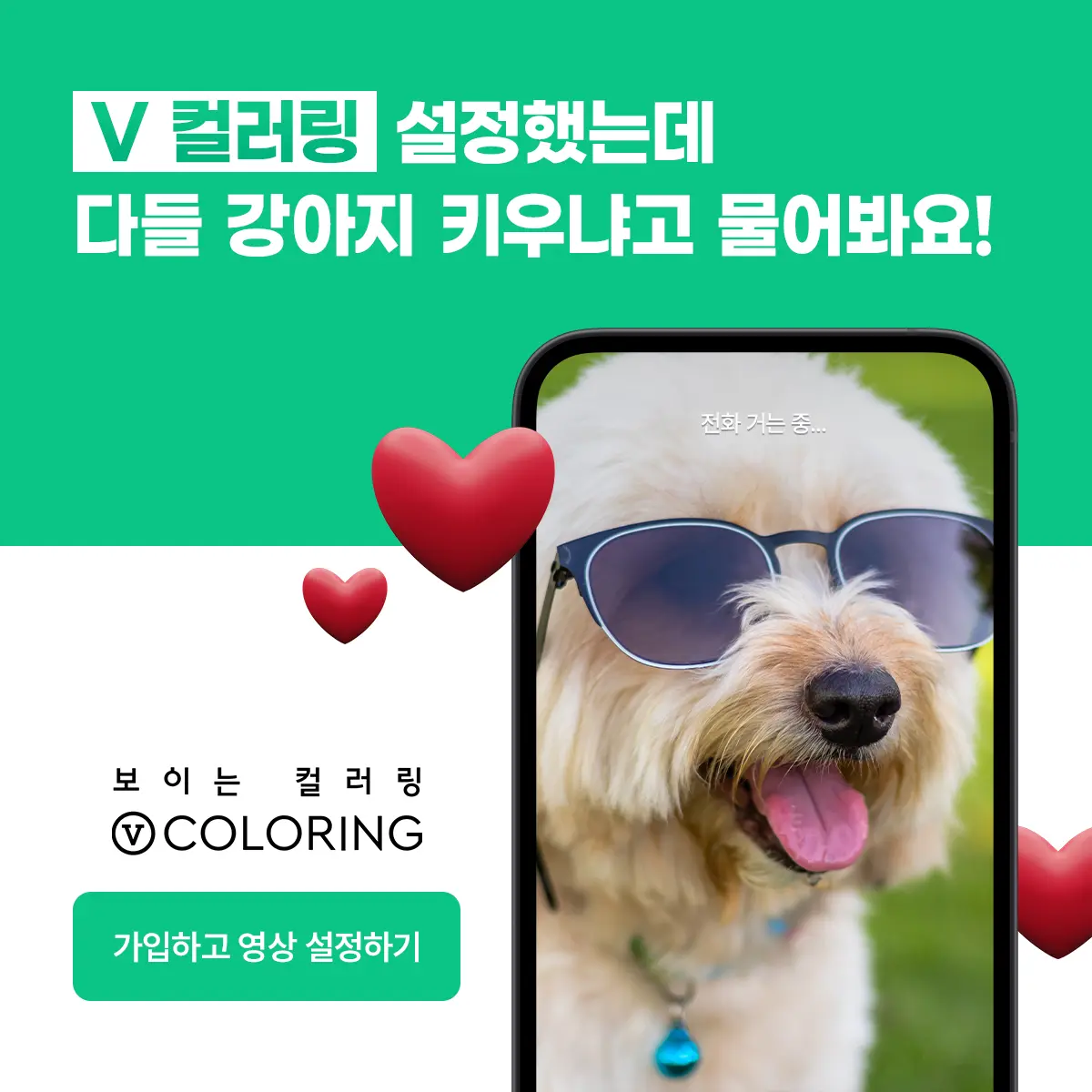 이미지 6