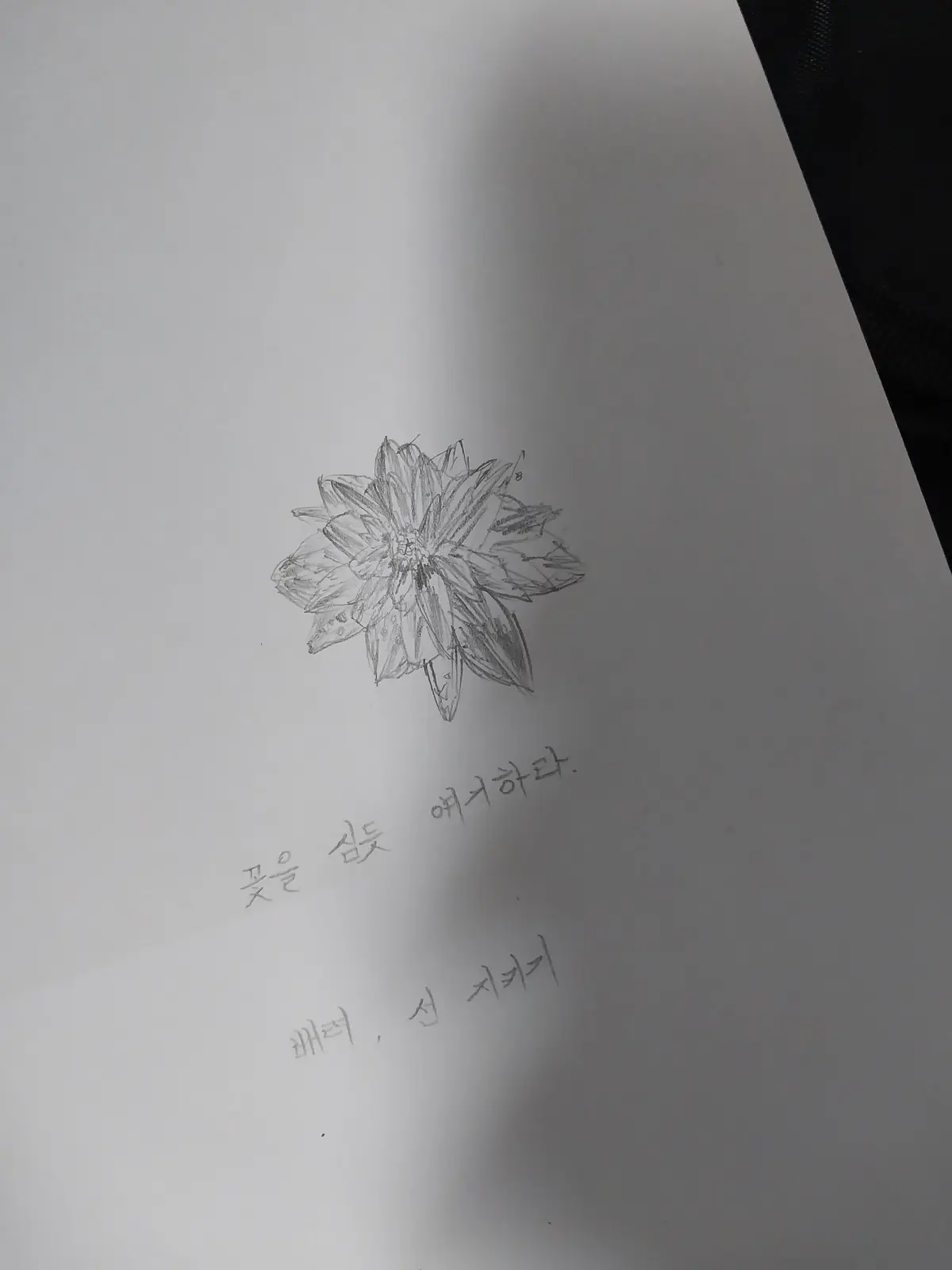 이미지 9