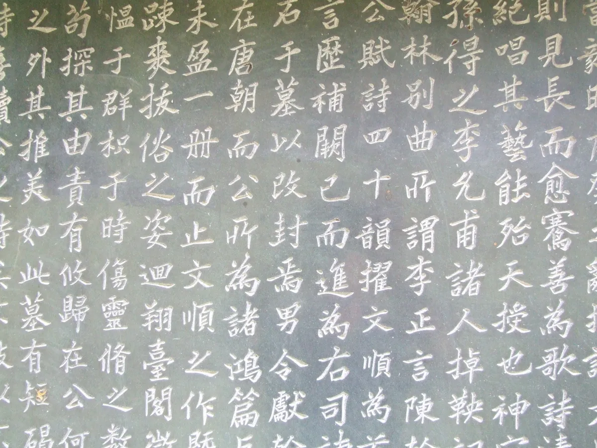 이미지 4