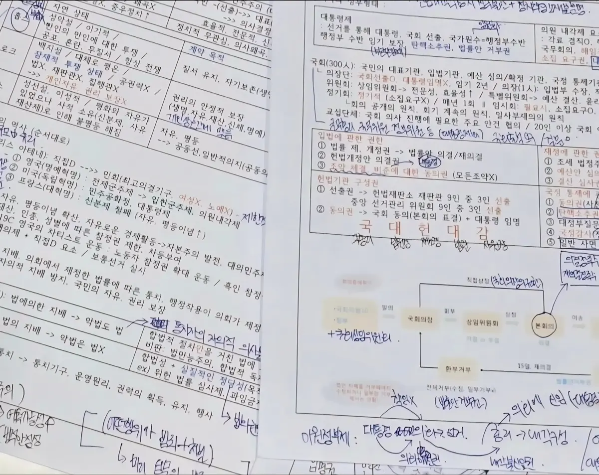이미지 8