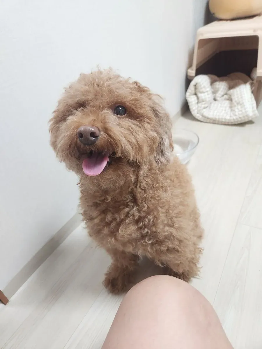 이미지 3