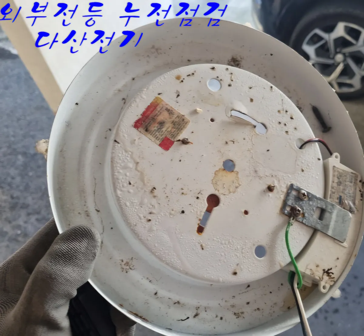 이미지 5
