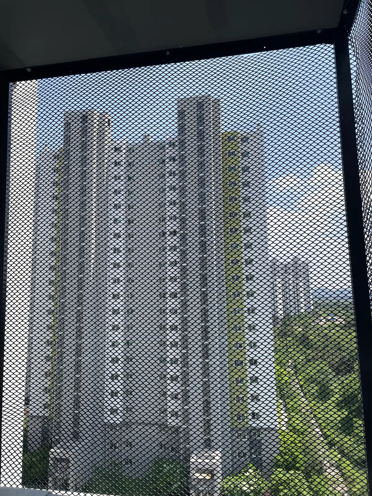 이미지 12