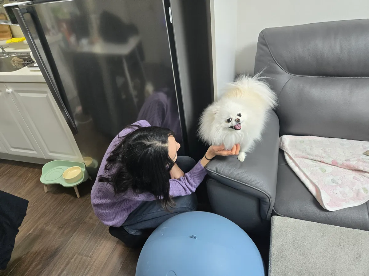 이미지 3