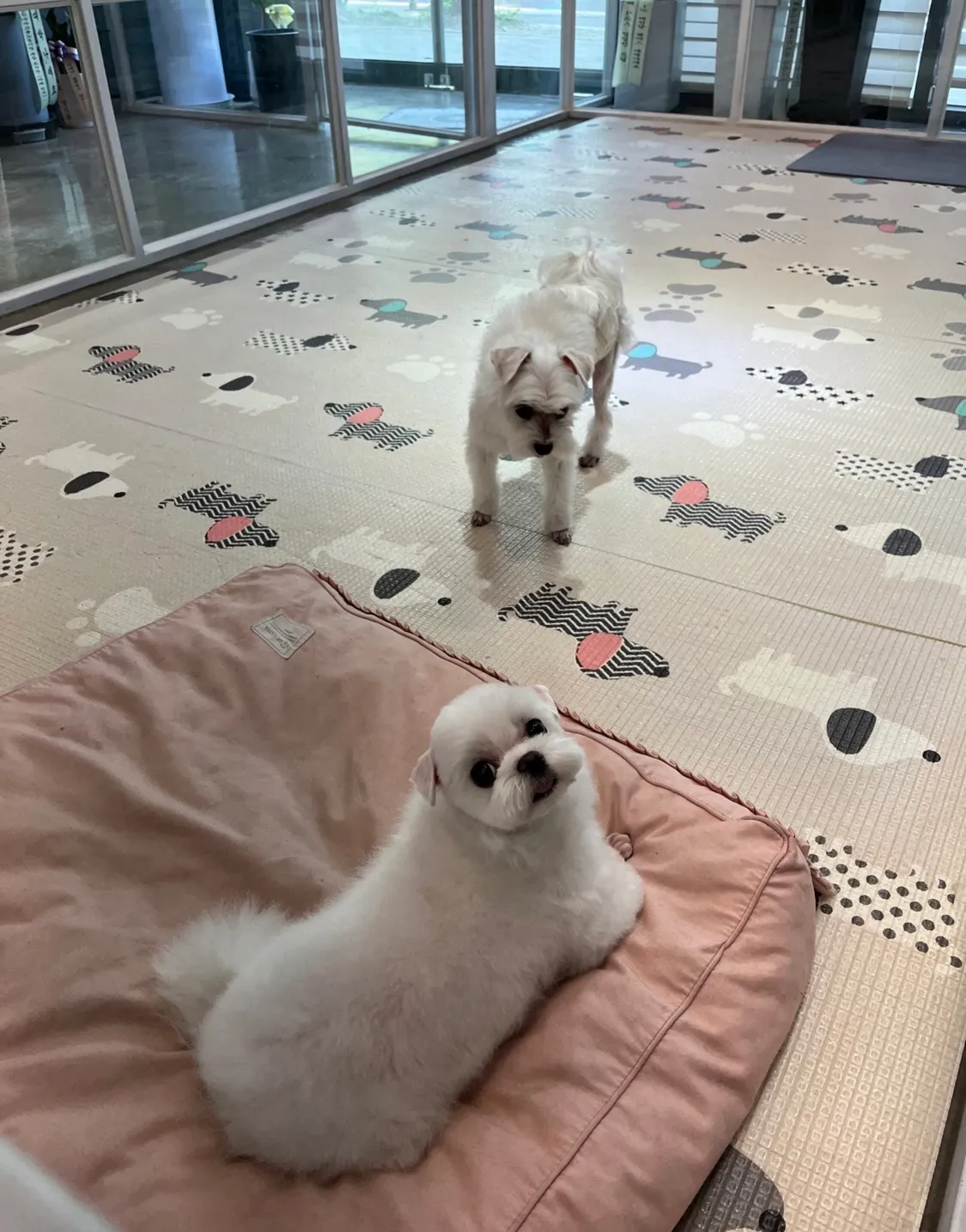 이미지 3