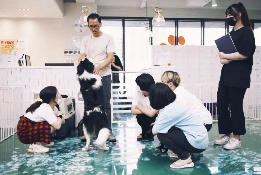 이미지 3