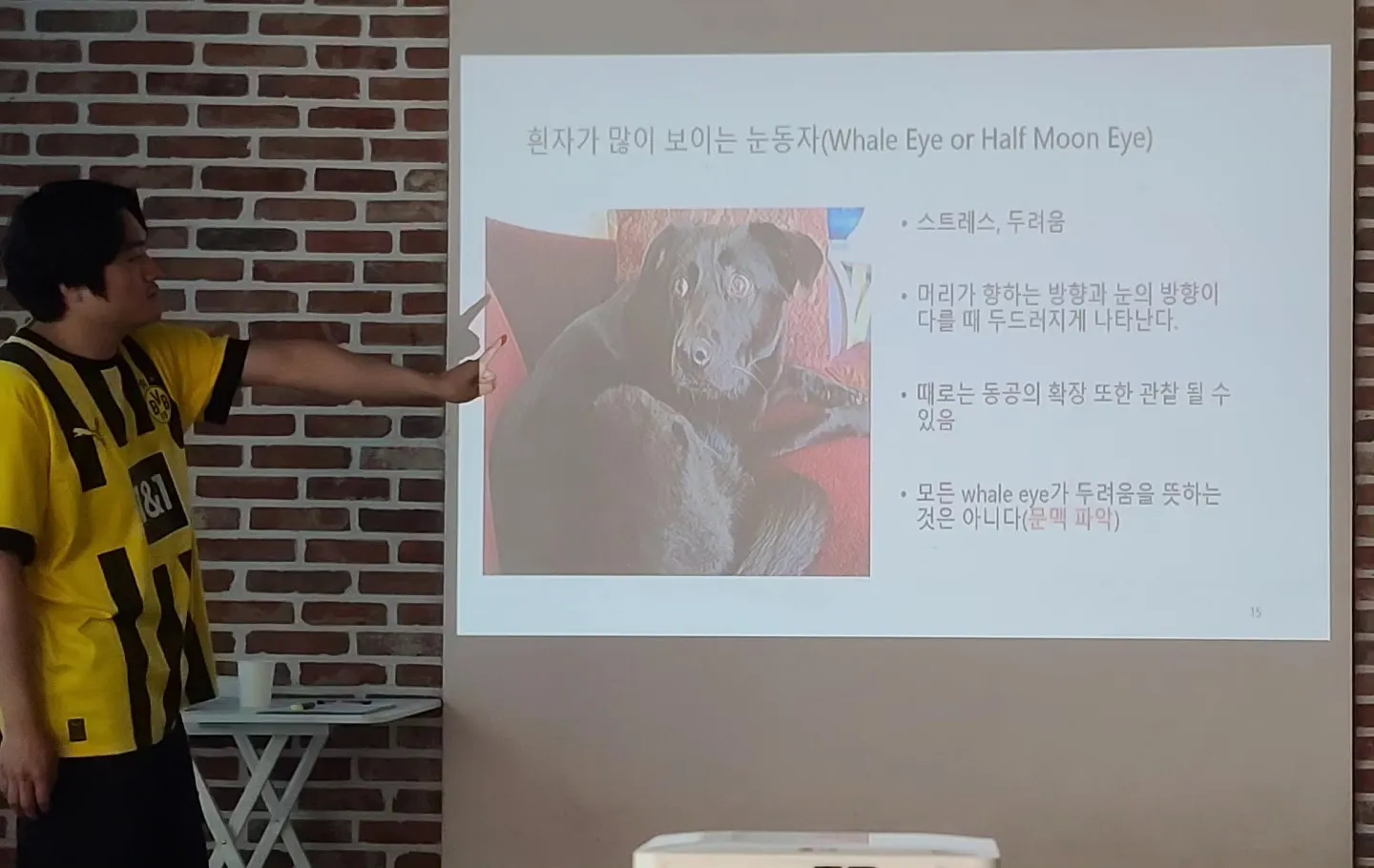 이미지 5
