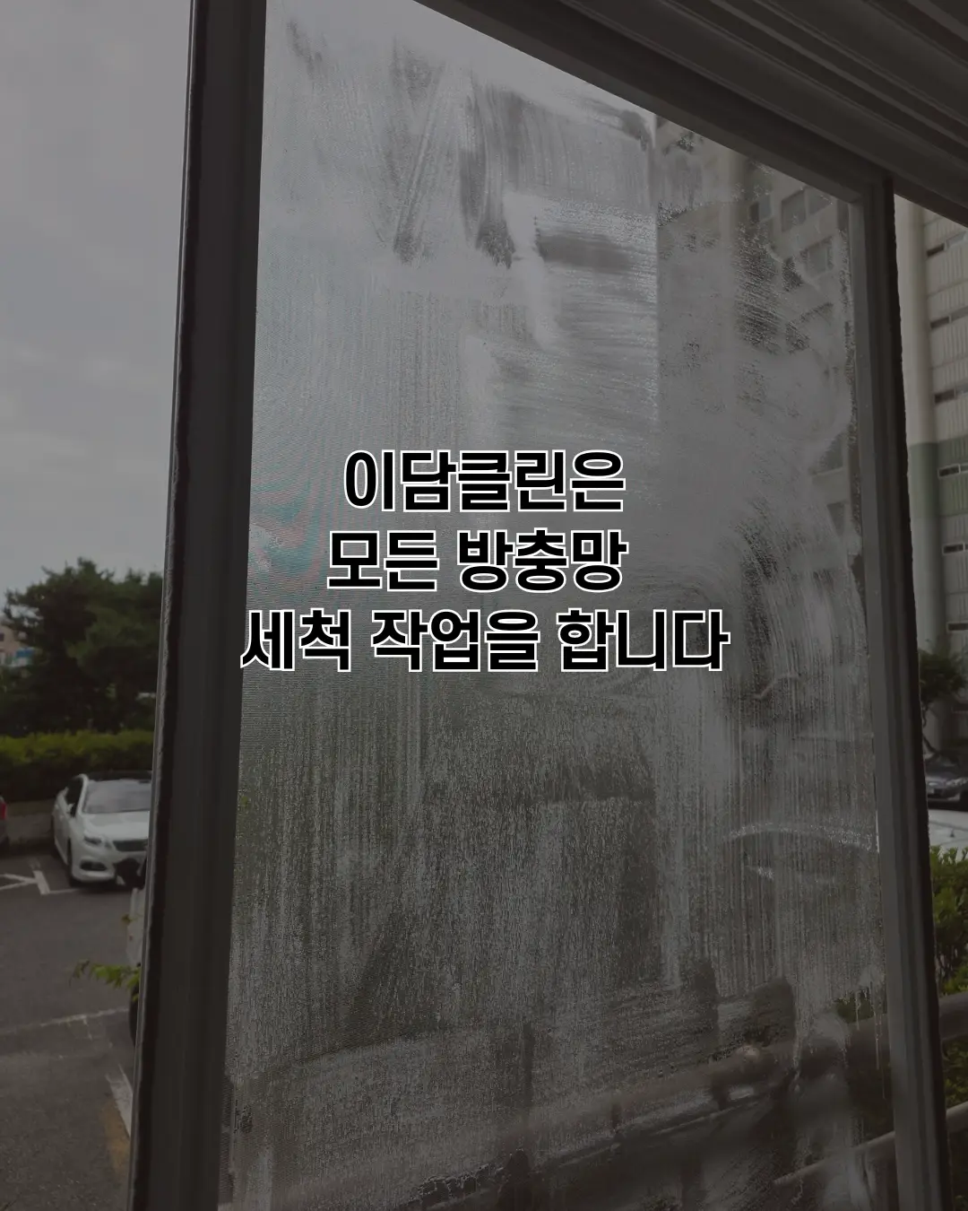 이미지 4