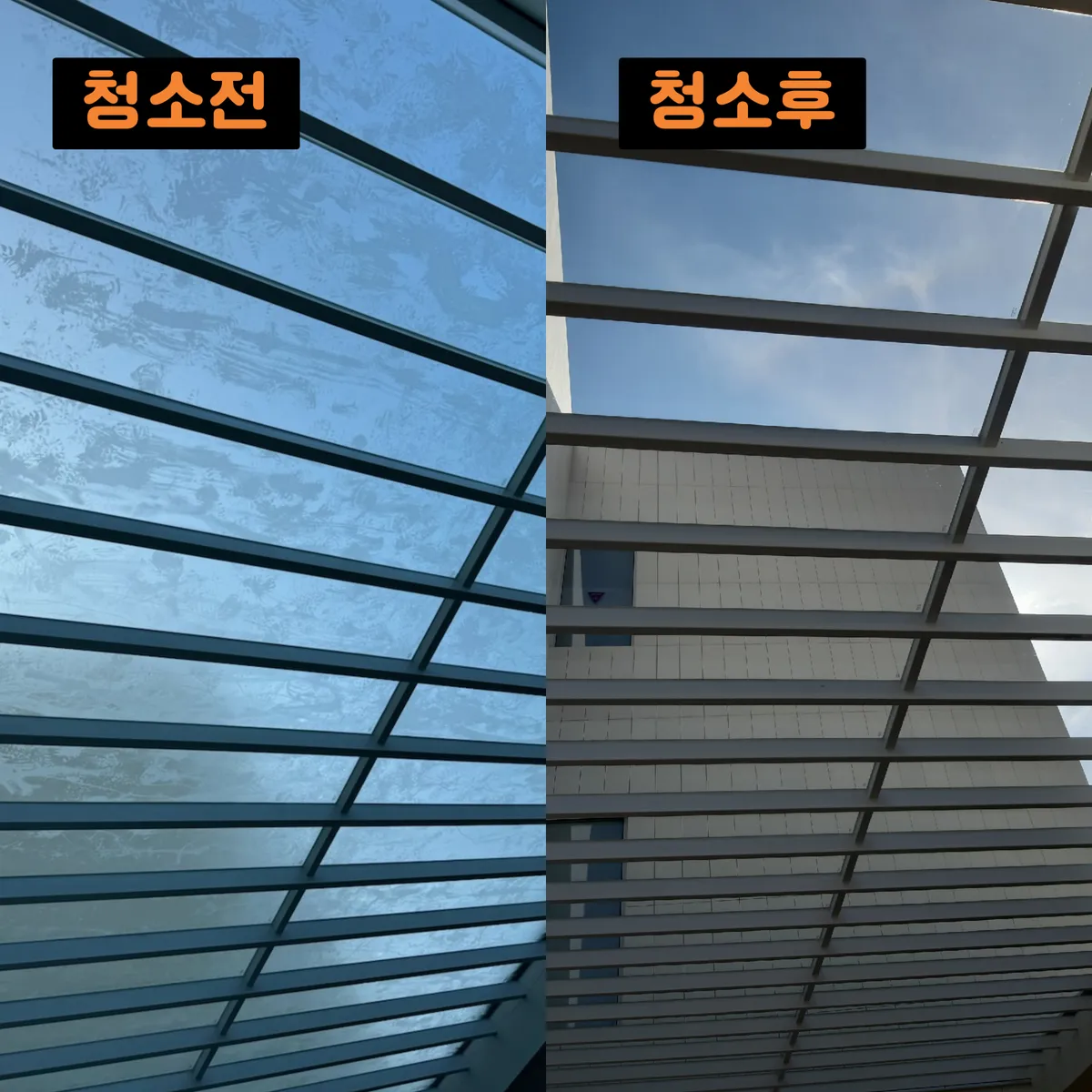 이미지 8