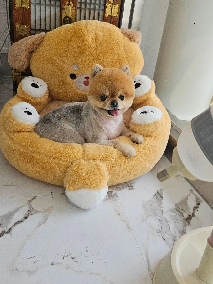 이미지 12