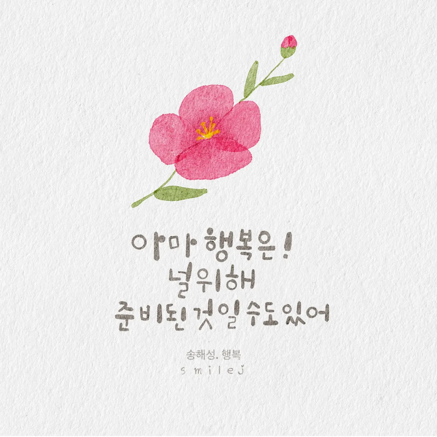 이미지 9