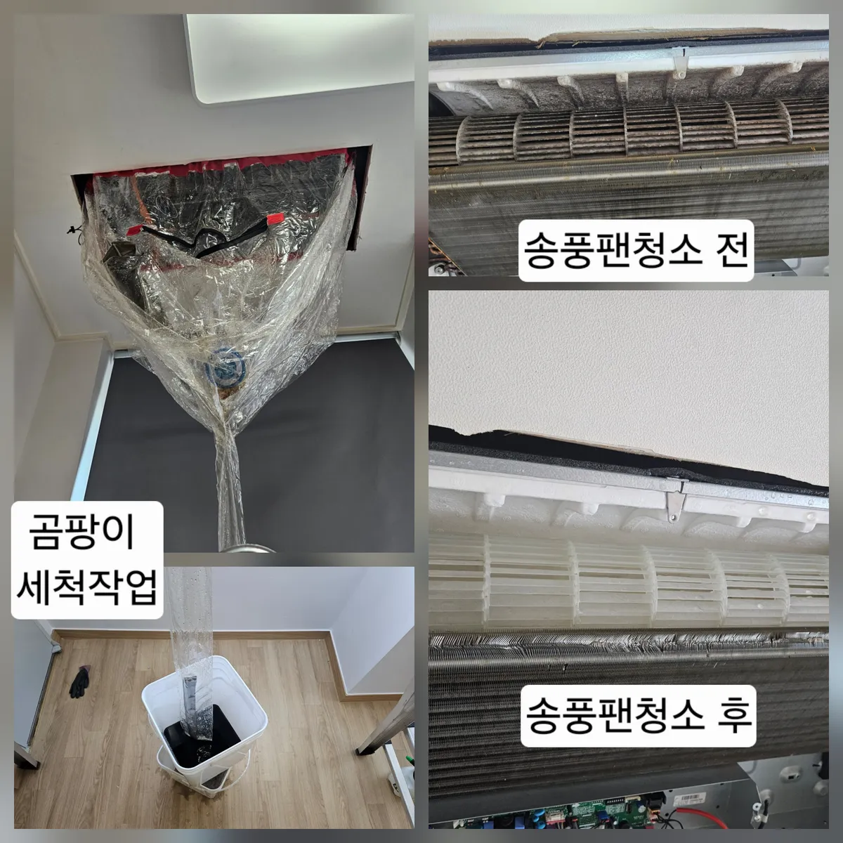 이미지 4